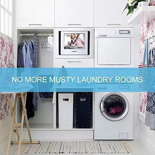Discover the best zmfh 10 pack moisture absorber hanging bags no scent max odor eliminator 220g dehumidification bags for closets bathrooms laundry rooms pantries storage
