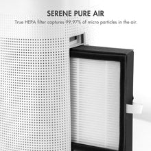 Load image into Gallery viewer, Best seller  tenergy sorbi 1000ml air dehumidifier w air purifying function true hepa filter auto shutoff touch control adjustable air speed ultra quiet allergies eliminator ideal for closets and bathrooms