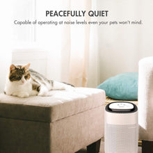 Load image into Gallery viewer, Best tenergy sorbi 1000ml air dehumidifier w air purifying function true hepa filter auto shutoff touch control adjustable air speed ultra quiet allergies eliminator ideal for closets and bathrooms